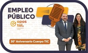 TIC empleo público